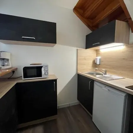 Séjours&affaires Annecy Le Pont Neuf Appart hôtel Cran-Gevrier